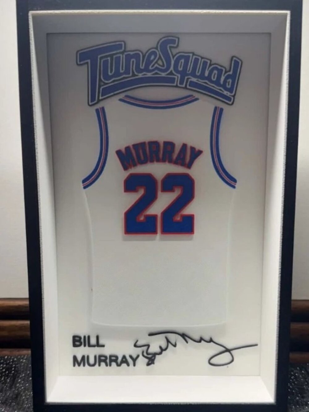 Bill Murray Tune Squad #22 Space Jam Shadowbox Display